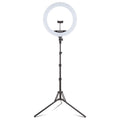 18-Inch RGB LED Ring Light with Tripod, Phone Holder, USB Charging Ports, and Wireless Remote Control